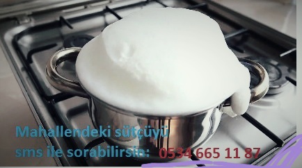 SÜT KAÇ DERECEDE KAYNAR