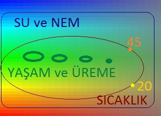 SÜT Kaç Derecede Mayalanır?