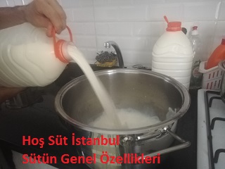 sütün genel özellikleri