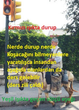Kırmızı ışıkta duran Sütçü Eşeği; merkep trafik lambası